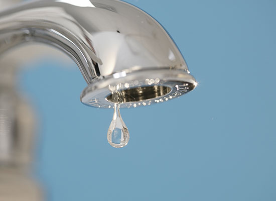 Business Development